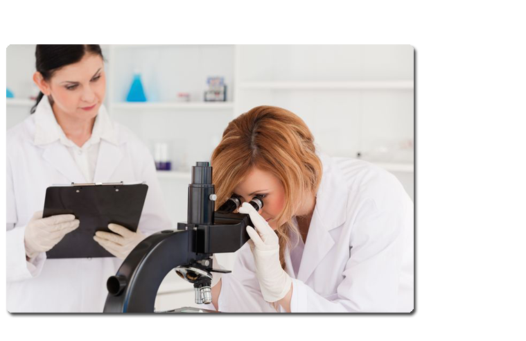 bannerImage2